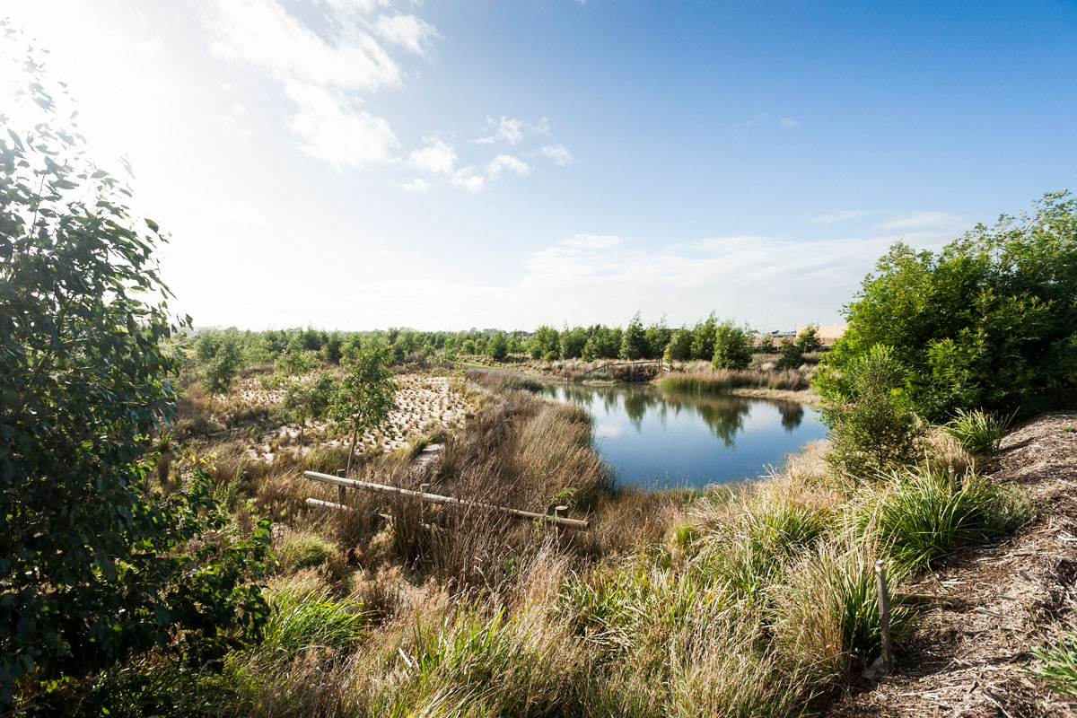 Gum Scrub Creek